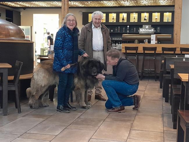 Ich durfte heute einen Leonberger kuscheln. Mein H